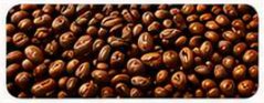 Fermented cacao beans